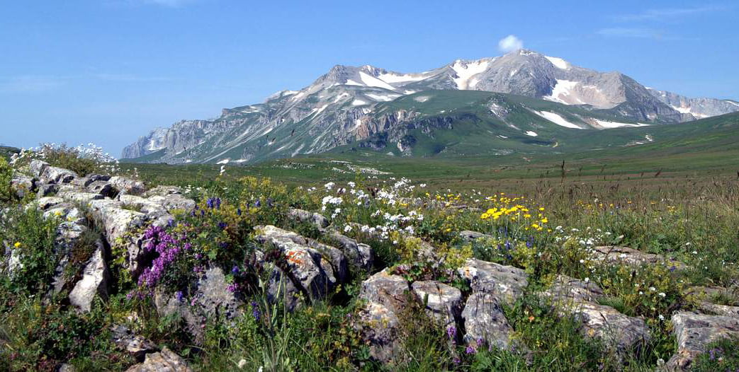 Плато лагонаки адыгея фото