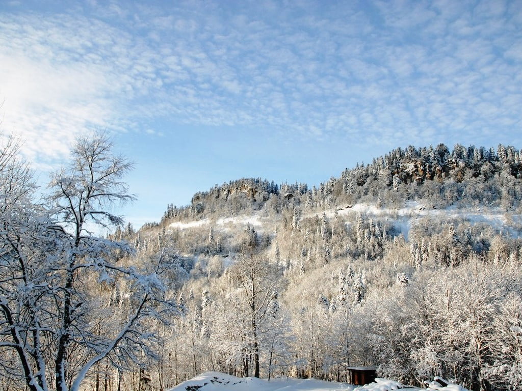 Лагонаки весной фото