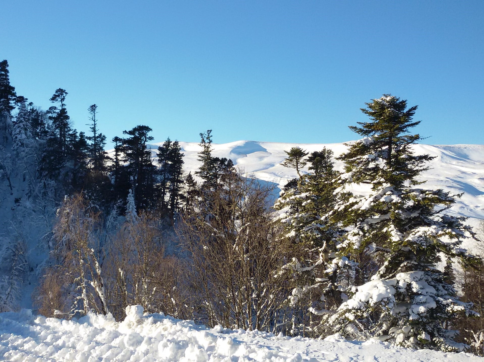 Лагонаки фото апрель