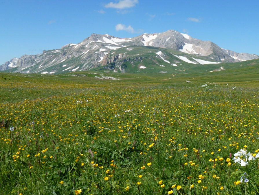 Лагонаки в апреле