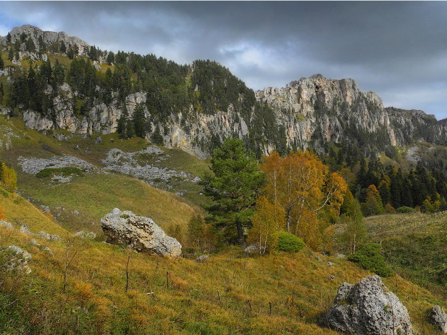 Лагонаки весной фото