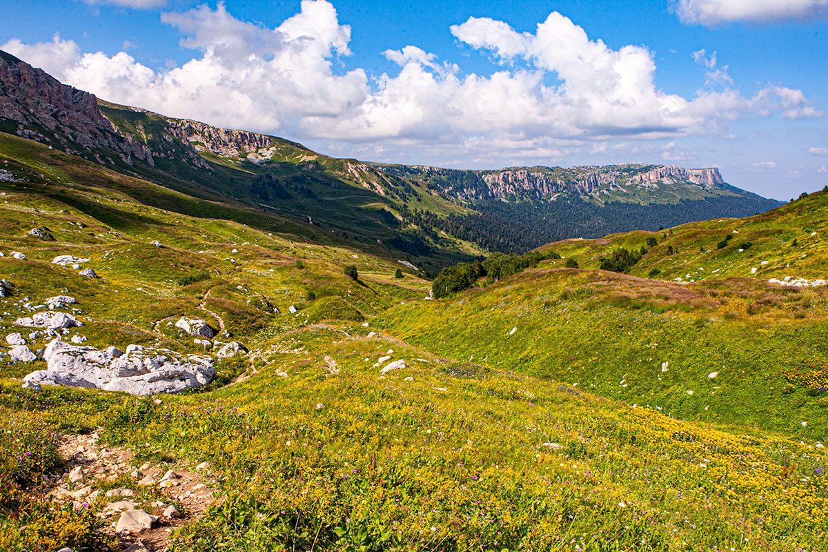 Плато Лаго Наки Альпийские Луга