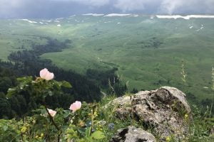 Река Курджипс Река Курджипс